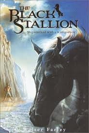 The Black Stallion