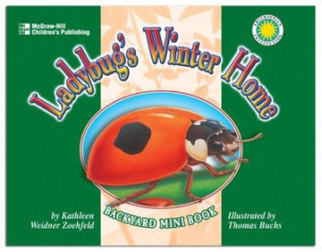 Ladybug's Winter Home