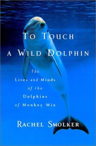 To Touch A Wild Dolphin
