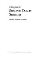 Sonoran Desert Summer
