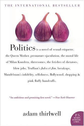 Politics: A Novel