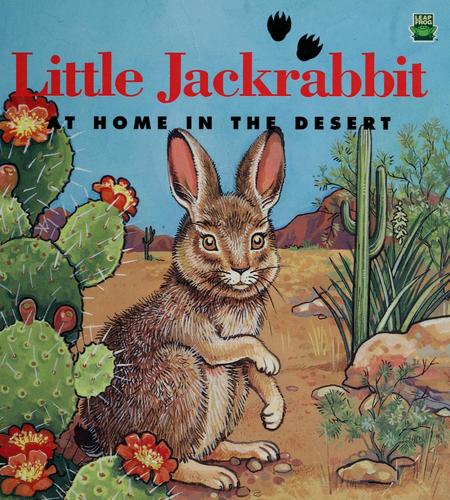 Little Jackrabbit: At Home In The Desert