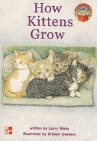 How Kittens Grow