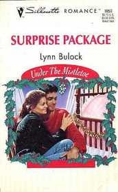 Surprise Package (Under The Mistletoe)