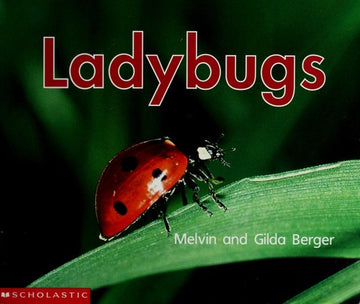 Ladybugs (Scholastic Time-To-Discover Readers)