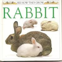 Rabbit (See How They Grow Series)