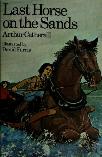Last Horse On The Sands
