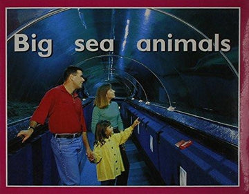 Pmp Start 2 Big Sea Animals