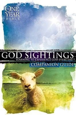 God Sightings: Learning to Experience God Every Day: companion guide