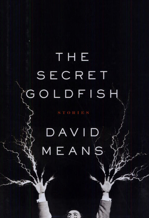 The Secret Goldfish: Stories