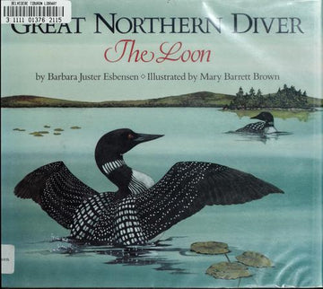 Great Northern Diver