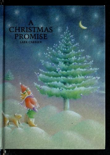 A Christmas Promise