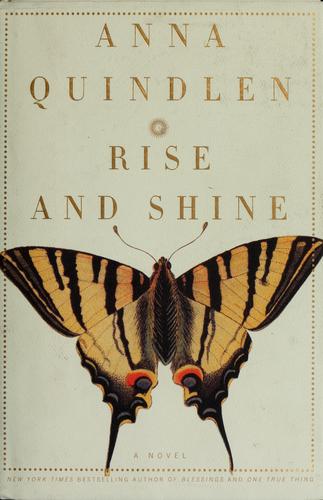 Rise And Shine: A Novel (without dust jacket)