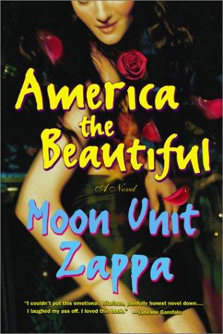 America The Beautiful: A Novel: a novel