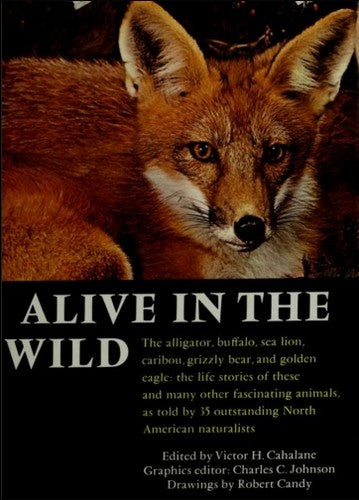 Alive In The Wild