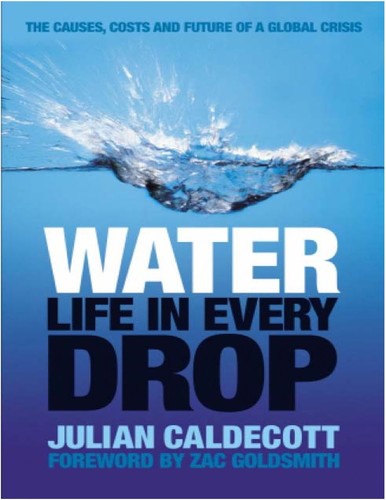 Water: The Causes, Costs, And Future Of A Global Crisis