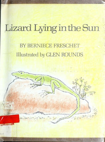 Lizard Lying in the Sun