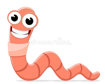 Diary Of A Worm