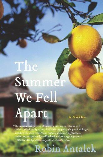 The Summer We Fell Apart