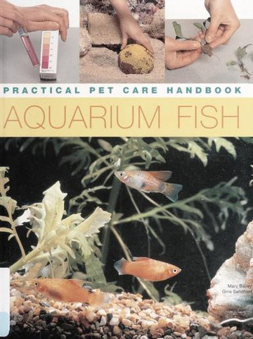 Aquarium Fish