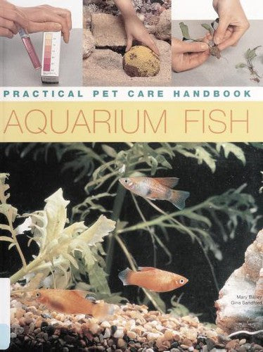 Aquarium Fish