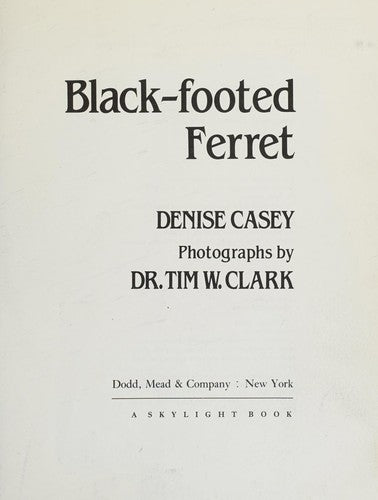 Black-Footed Ferret