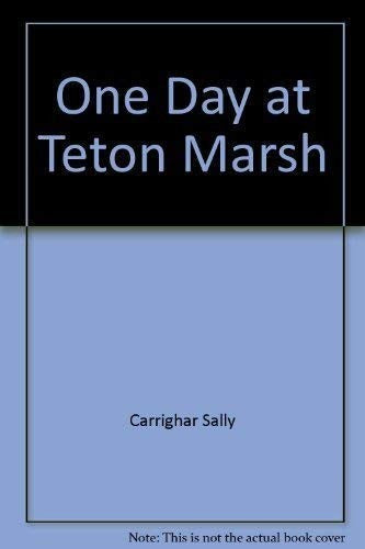 One Day At Teton Marsh