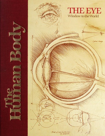 The Human Body: The Eye: Window To The World