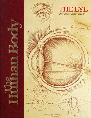 The Human Body: The Eye: Window To The World