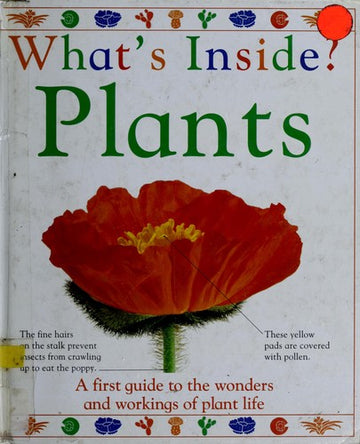What's Inside? Plants
