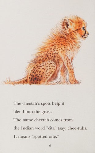 Cheetah Cubs: Station Stop 2 (All Aboard Science Reader)