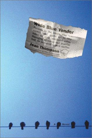Wide Blue Yonder: A Novel