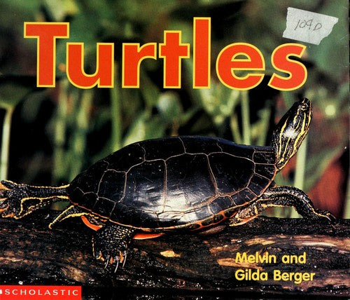 Turtles (Scholastic Time-To-Discover Readers)