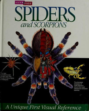 Spiders And Scorpions : A Look Inside Series