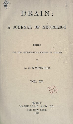 Brain