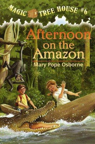 Afternoon On The Amazon