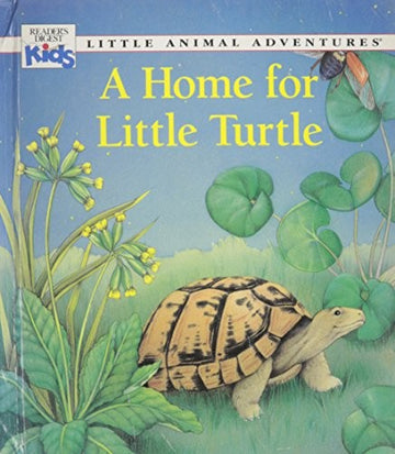 A Home For Little Turtle (Little Animal Adventures)