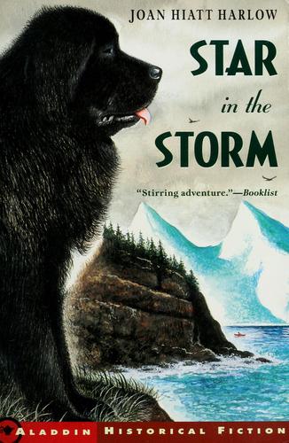 Star In The Storm (Aladdin Historical Fiction)