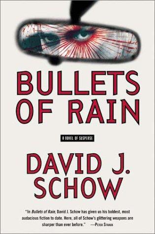 Bullets Of Rain: A Novel Of Suspense