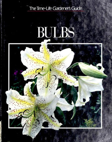 Bulbs