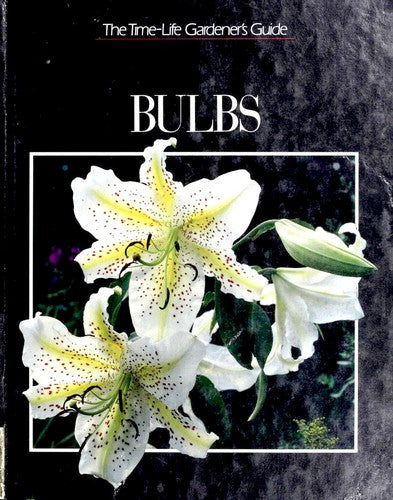 Bulbs