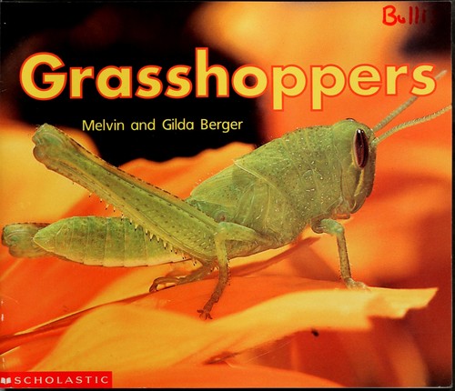 Grasshopper (Time-To-Discover)