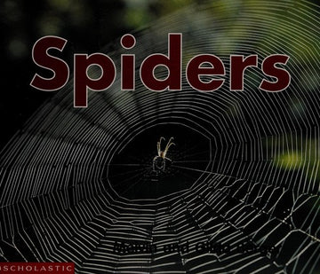 Spiders (Scholastic Time-To-Discover Readers)