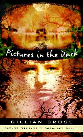 Pictures In The Dark (Puffin Novel)