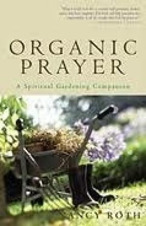 Organic Prayer: cultivating your relationship with God