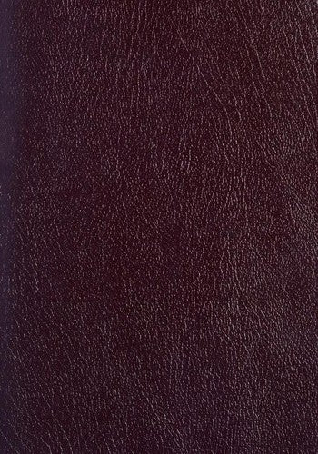 Life Application Study Bible (personalized with notes)