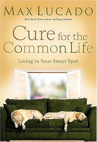Cure For The Common Life: Living In Your Sweet Spot