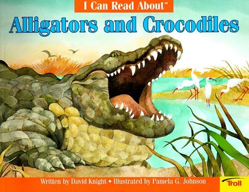 Alligators & Crocodiles
