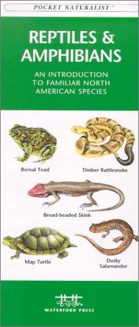 Reptiles & Amphibians: An Introduction To Familiar North American Species
