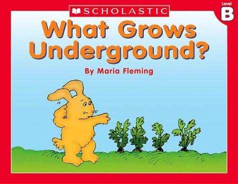 Level B - What Grows Underground?